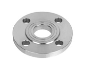 Flange